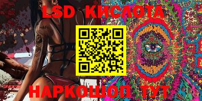 МДПВ Кингисепп