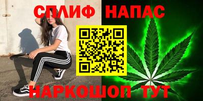 МДПВ Кингисепп