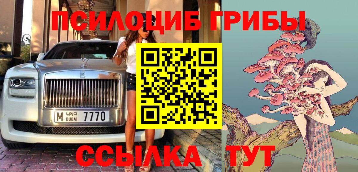 Волхов  Галлюциногенные грибы прущие грибы  Вход с VPN 